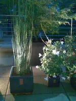 Bild011.webp