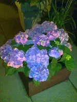 Bild015.webp