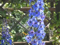 015.webp