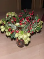 HPIM3111.webp