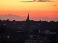 P1000148.webp