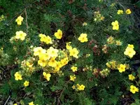 PICT0253.webp