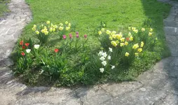 20090413_8006b.webp