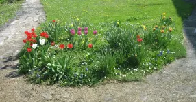 20090421_8127b2.webp