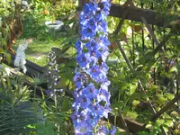 014.webp