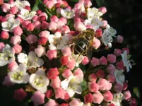 IMG_7277.webp