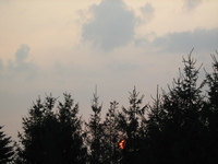 IMG_2715.webp