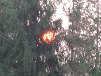 IMG_2716.webp