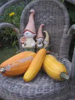 garten 09 025.webp