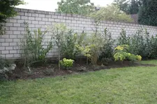 IMG_0935  1.webp