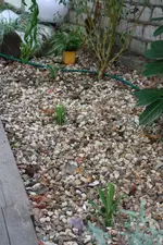 IMG_0940  1.webp