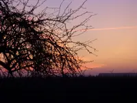 SDC10717.webp