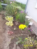 100_2142.webp