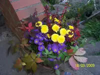 100_2140.webp
