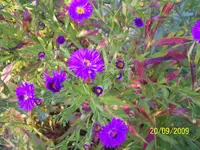 100_2147.webp