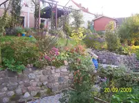 100_2149.webp