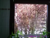 PIC00017.webp