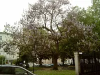 M4100163.webp