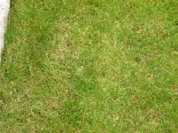 001.webp