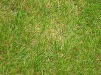 002.webp