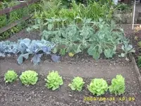 JD500038.webp