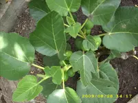 JD500009.webp