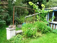 IMG_1088.webp