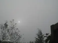 IMG_5493 Nebel.webp