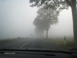 IMG_5502 Nebel.jpg