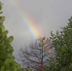 Regenbogen Motueka v.jpg