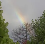 Regenbogen Motueka v.webp