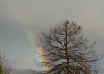 Regenbogen Motueka (6).jpg