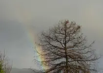 Regenbogen Motueka (6).webp