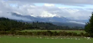 Winter NZ v.webp