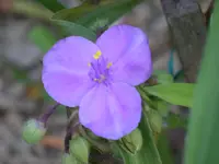 SDC10742.webp