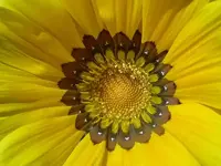 Variationen... (6) v.webp