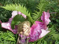 SDC10744.webp