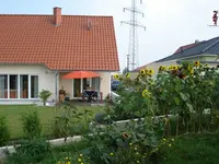 DSC01441.webp