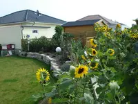 DSC01443.webp