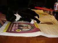 Bild 053.webp