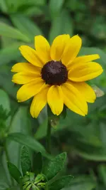 a016.webp