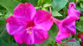 K800_neue 1255.webp