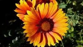K800_neue 1257.webp