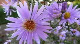 K800_neue 1262.webp