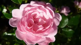 K800_neue 1264.webp