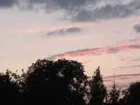 IMG_0670.webp