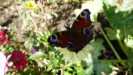 K800_neue 1247.webp