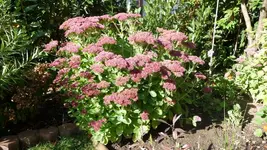 K800_neue 1248.webp