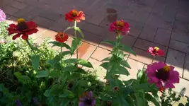 K800_neue 1251.webp