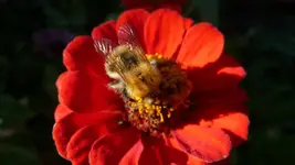 K800_neue 1246.webp